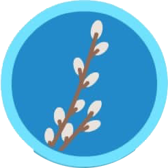 Badge for Blooming Willow