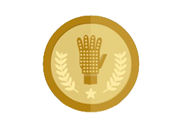 Badge for 1990's Expert