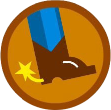Badge FB