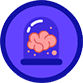 Badge for Expert