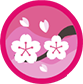 Badge for Cherry Blossom