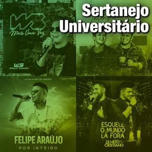 Sertanejo Universitario