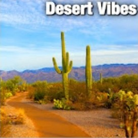 Desert Vibes