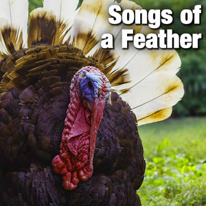 Songs of a Feather
