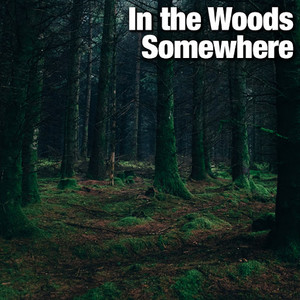 In the Woods Somewhere