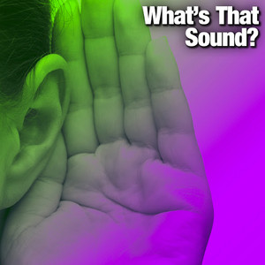 What's That Sound?