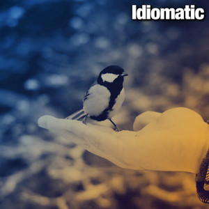 Idiomatic
