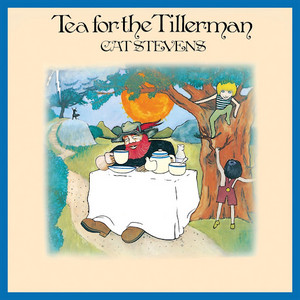 Yusuf / Cat Stevens