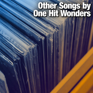 Other Songs by One Hit Wonders