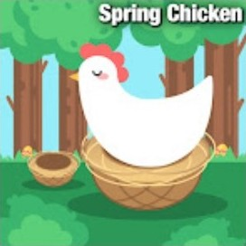 Spring Chicken