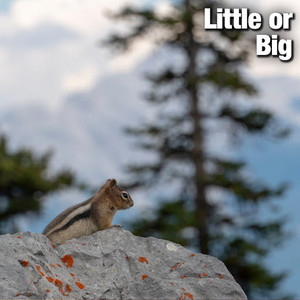 Little or Big