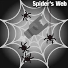 Spider’s Web