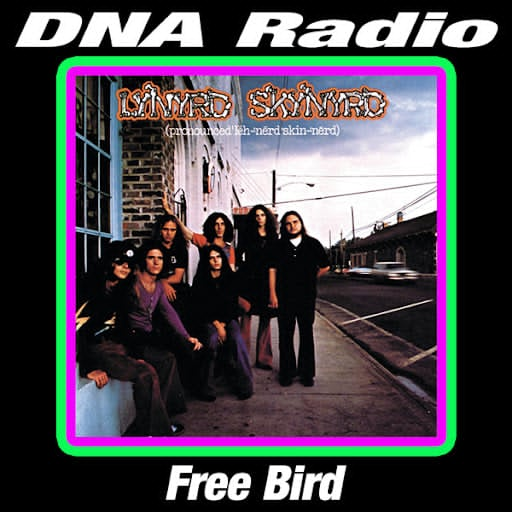 DNA Radio: Free Bird