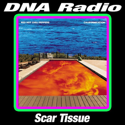 DNA Radio: Scar Tissue