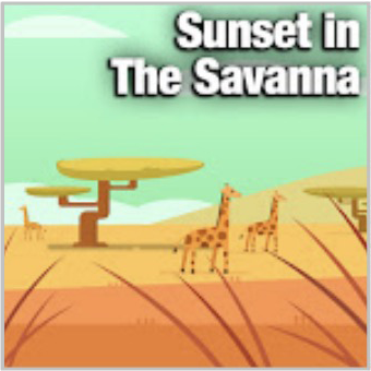 Sunset in the Savanna
