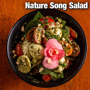Nature Song Salad