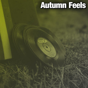 Autumn Feels