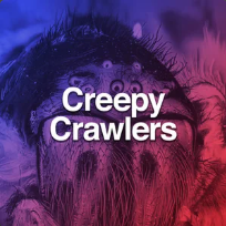 Creepy Crawlers