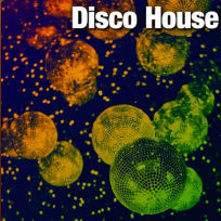 Disco House